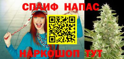гидропоника Донской