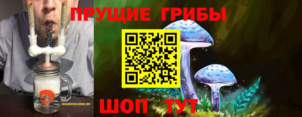 Галлюциногенные грибы мухоморы Георгиевск